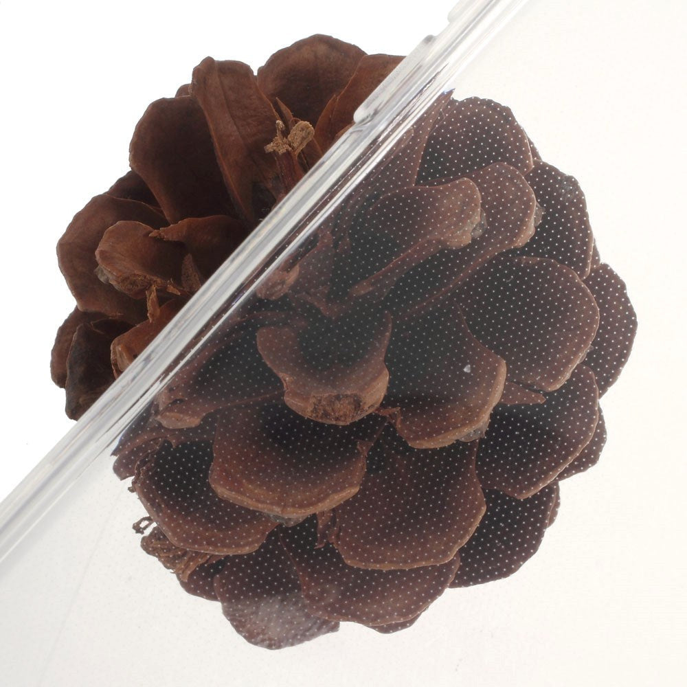 iPhone SE (2022/2020)/8/7 Nano Air Clear Cover Gennemsigtig