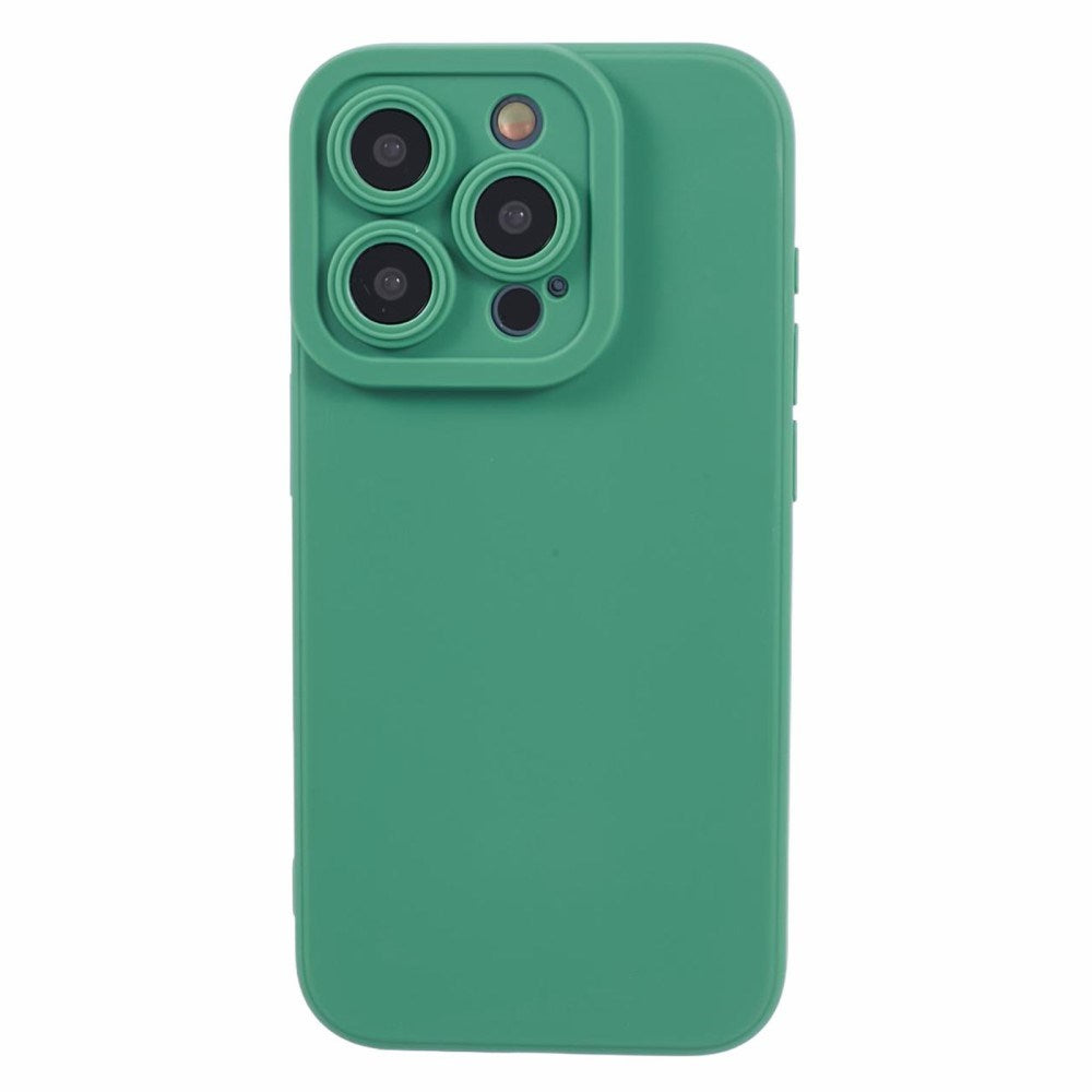 EIDERWOOD iPhone 12 Pro Max Fleksibelt Plastik Bagside Cover - Grøn