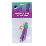 Setty USB Stik m. 8 GB - Aubergine