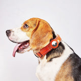 Hundehalsbånd med AirTag 1. & 2. Gen. Holder - Str. S (30-37 cm) - Beige