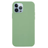 iPhone 15 Pro Liquid Silikone Bagside Cover - Mintgrøn