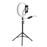 10" LED Ring Light m. Justerbar Tripod, Holder & Fjernbetjening SBS - Sort