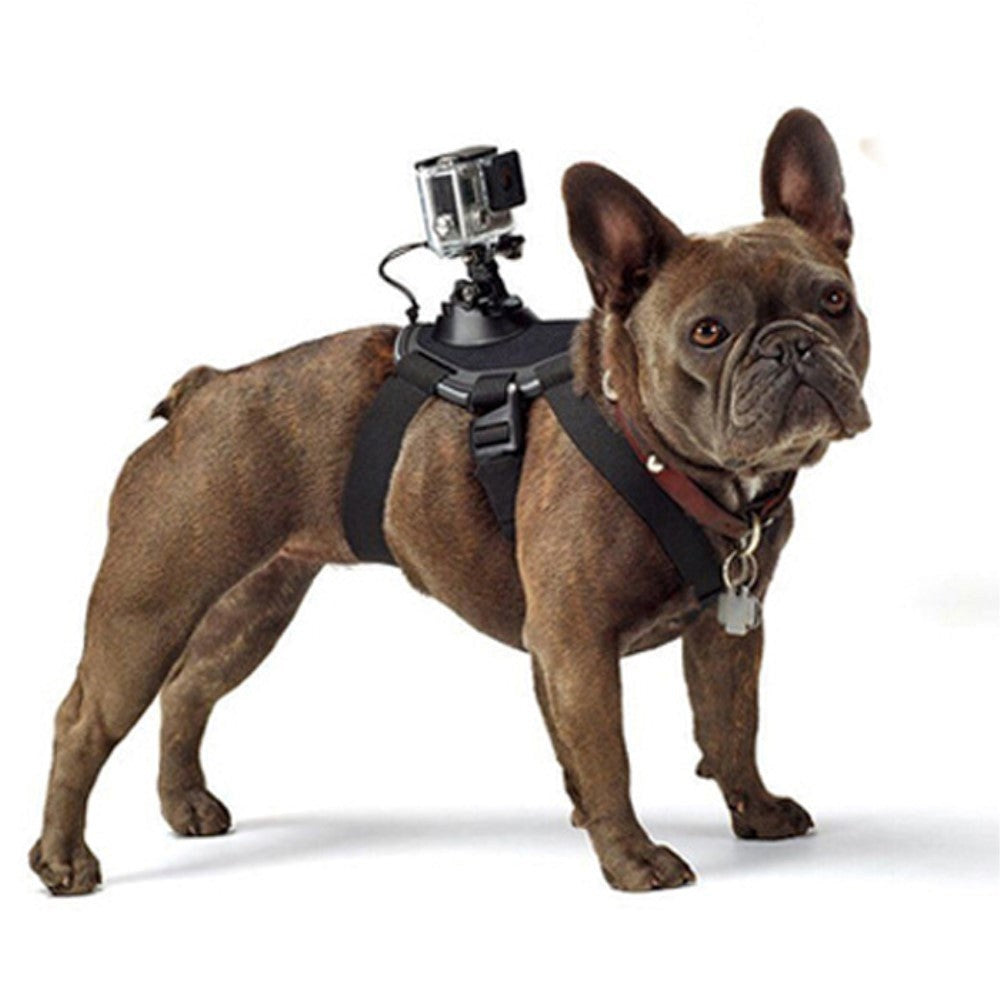 GoPro 1 - 4 Hundesele med Kamera Holder - Sort