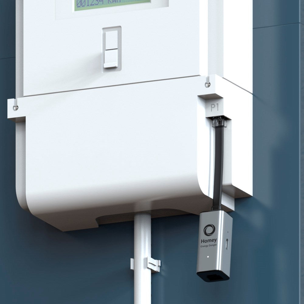 Homey Energy Dongle P1 til Elmåler - Grå - (DEMO)