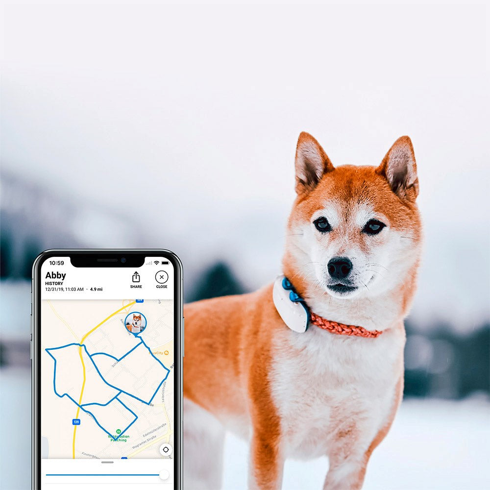 Tractive GPS Dog LTE - GPS & Bluetooth Tracker til Hund - Hvid