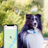 Tractive GPS Dog LTE - GPS & Bluetooth Tracker til Hund - Hvid