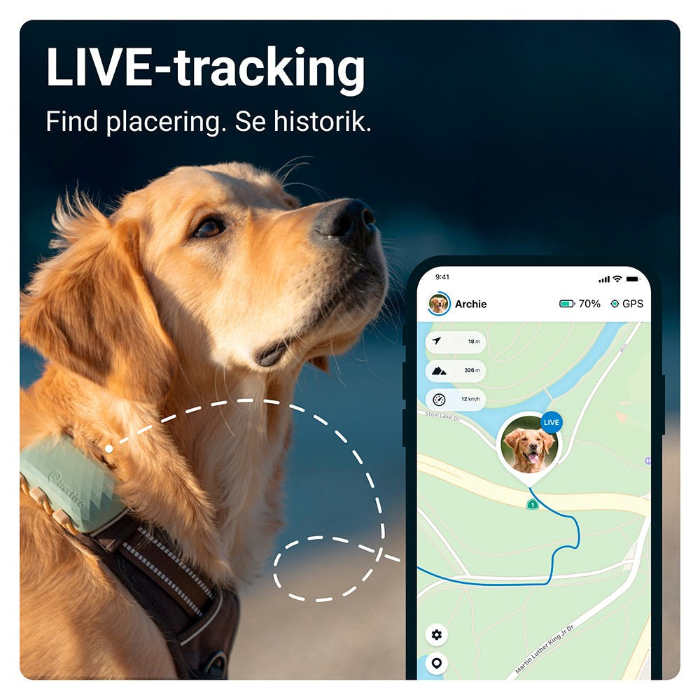 Tractive GPS Dog XL - GPS & Bluetooth Tracker til Hund - Grøn