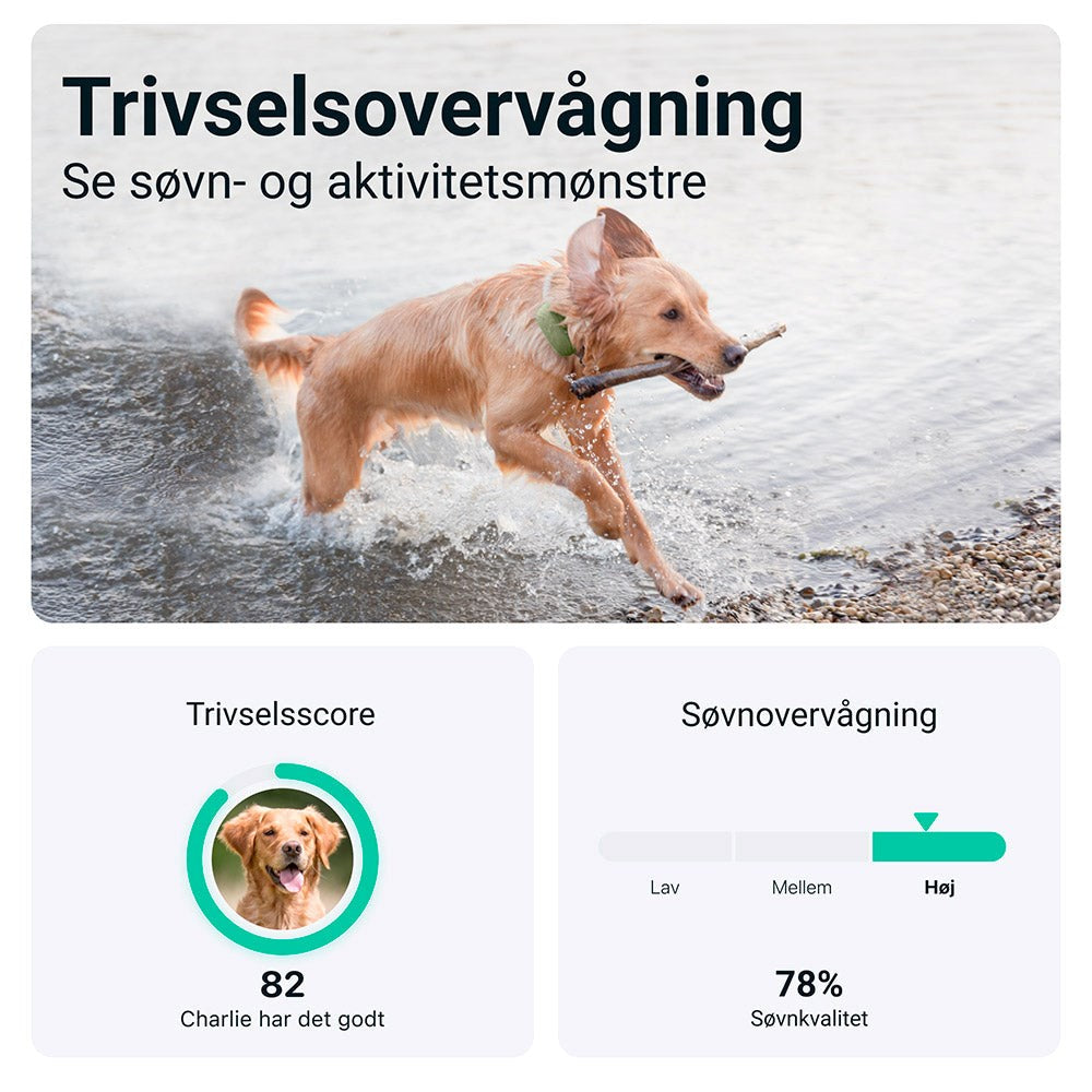 Tractive GPS Dog XL - GPS & Bluetooth Tracker til Hund - Grøn