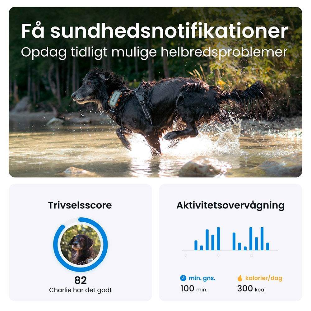 Tractive GPS Dog XL - GPS & Bluetooth Tracker til Hund - Adventure Edition - Grå.