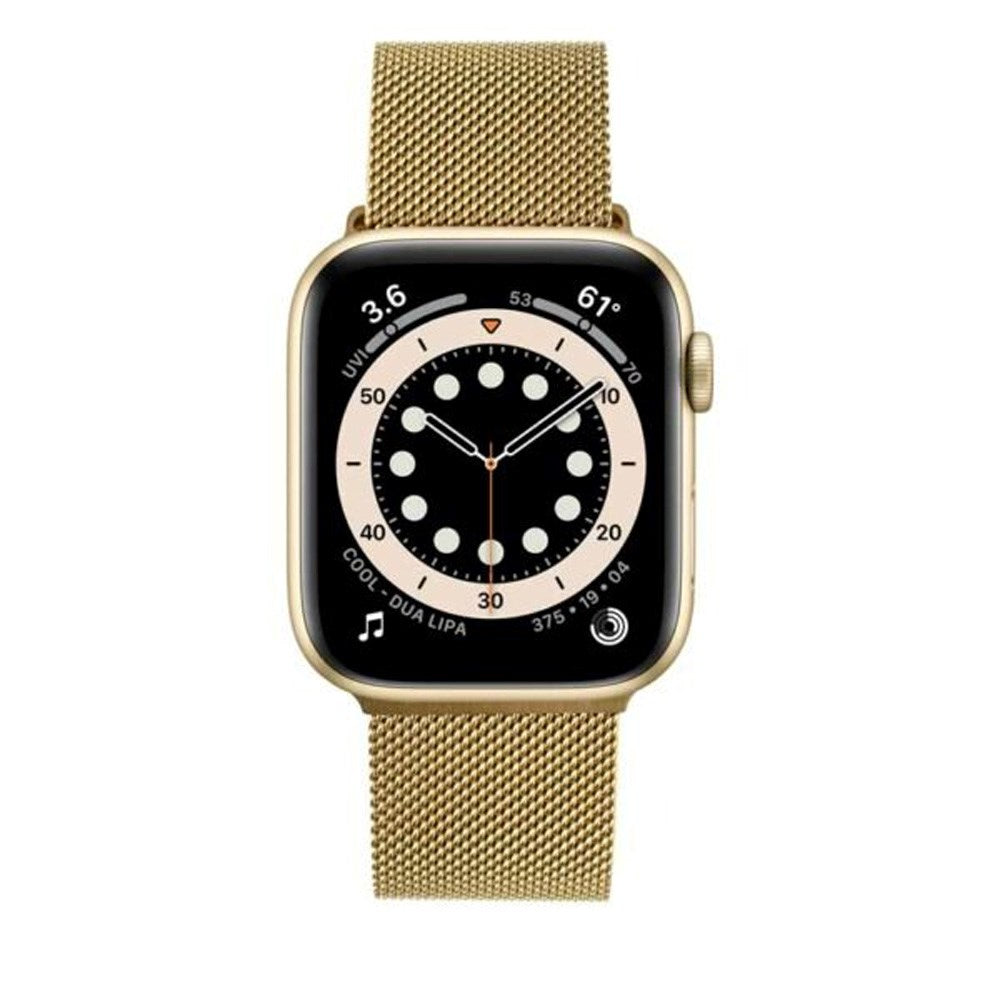 Apple Watch (42/44/SE/45/49mm) - Fixed Mesh Rem - Guld