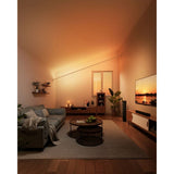 Govee Strip Light inkl. Skyline Kit - 4m