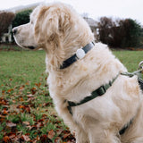 Lippa Silikone Apple AirTag Holder til Halsbånd - Lilla